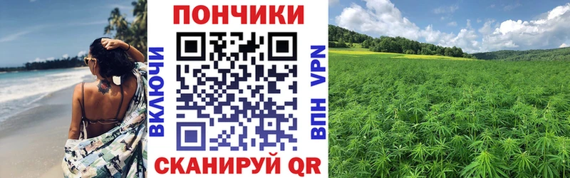 Магазины продажи наркотиков Суздаль Гашиш  Галлюциногенные грибы  Мефедрон  LSD-25  Alpha PVP  Кокаин 