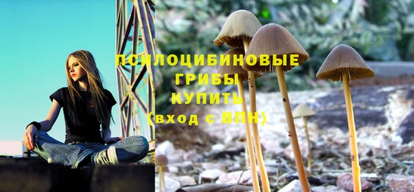 мдпв Красноперекопск
