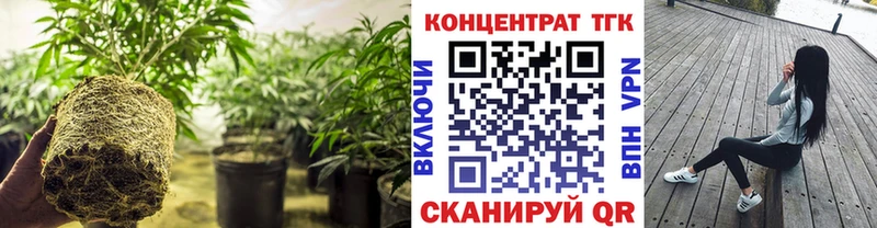 кракен зеркало  Суздаль  ТГК концентрат 
